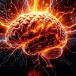 Hoogbegaafdheid: op een ander niveau